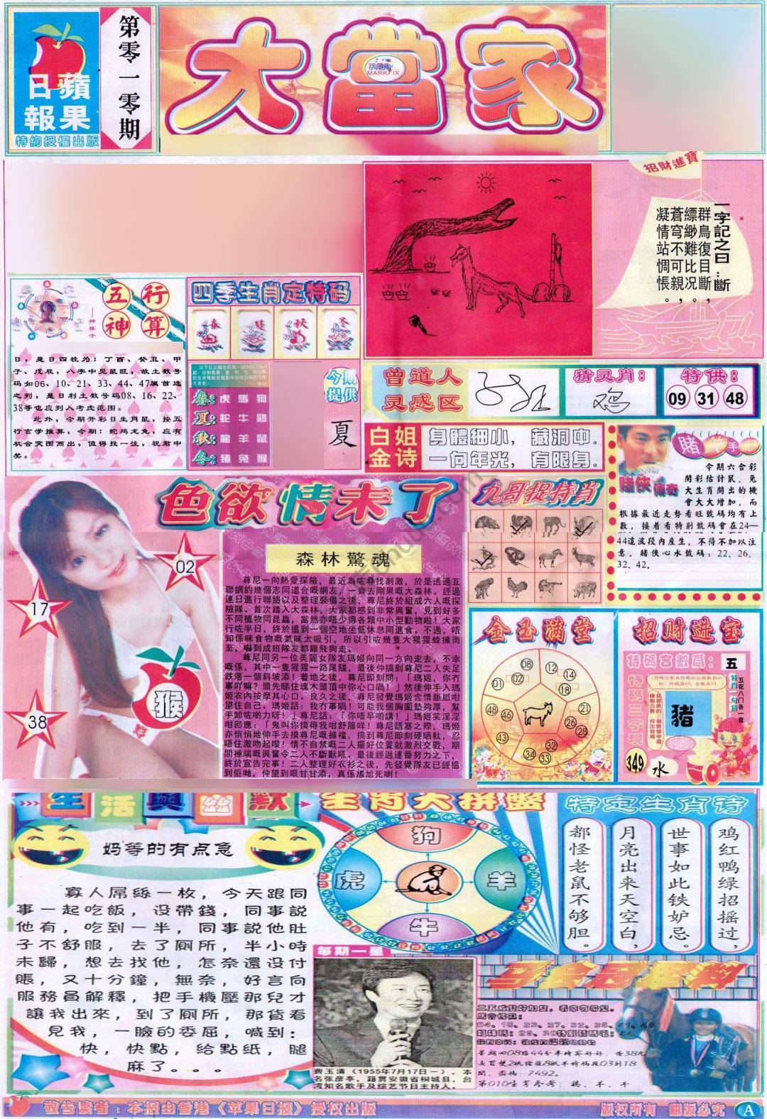 大当家