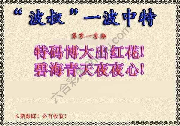 波叔一波中特