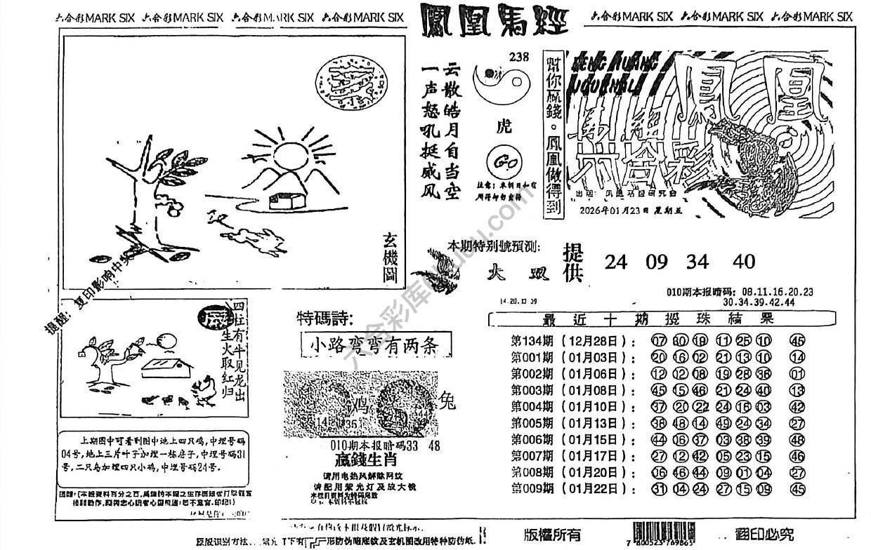 凤凰马经