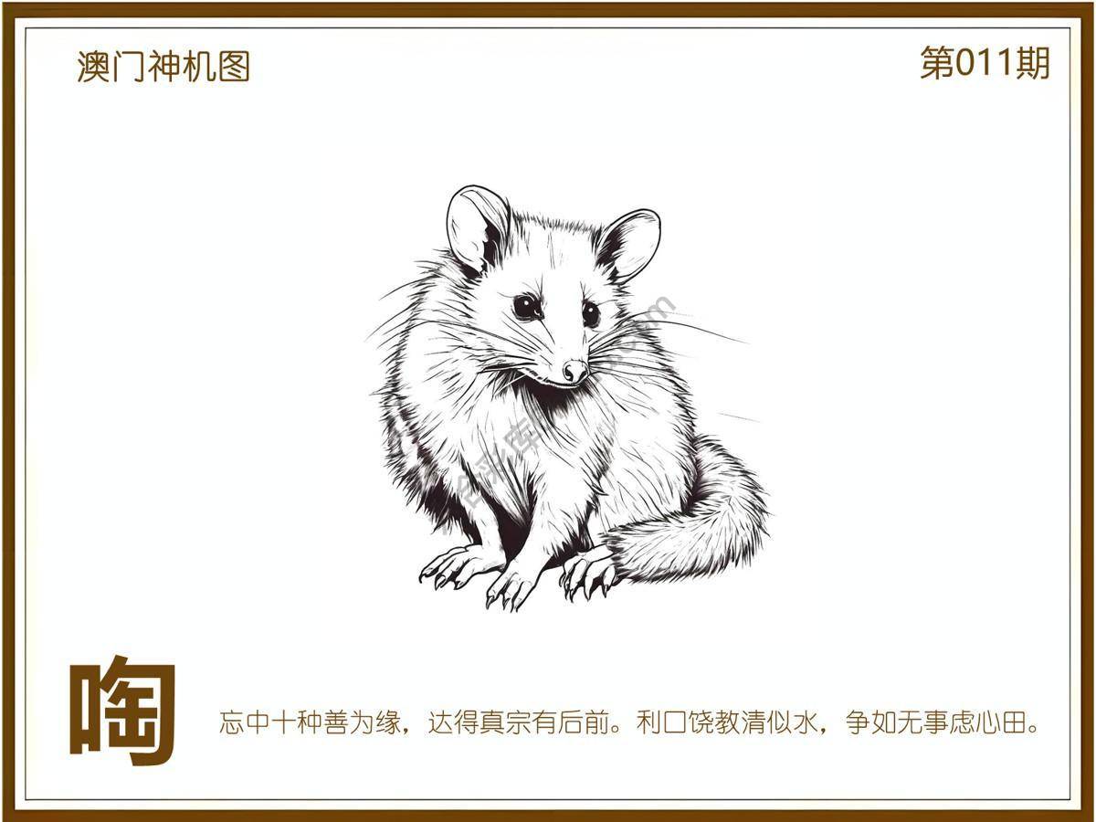 澳门神机图