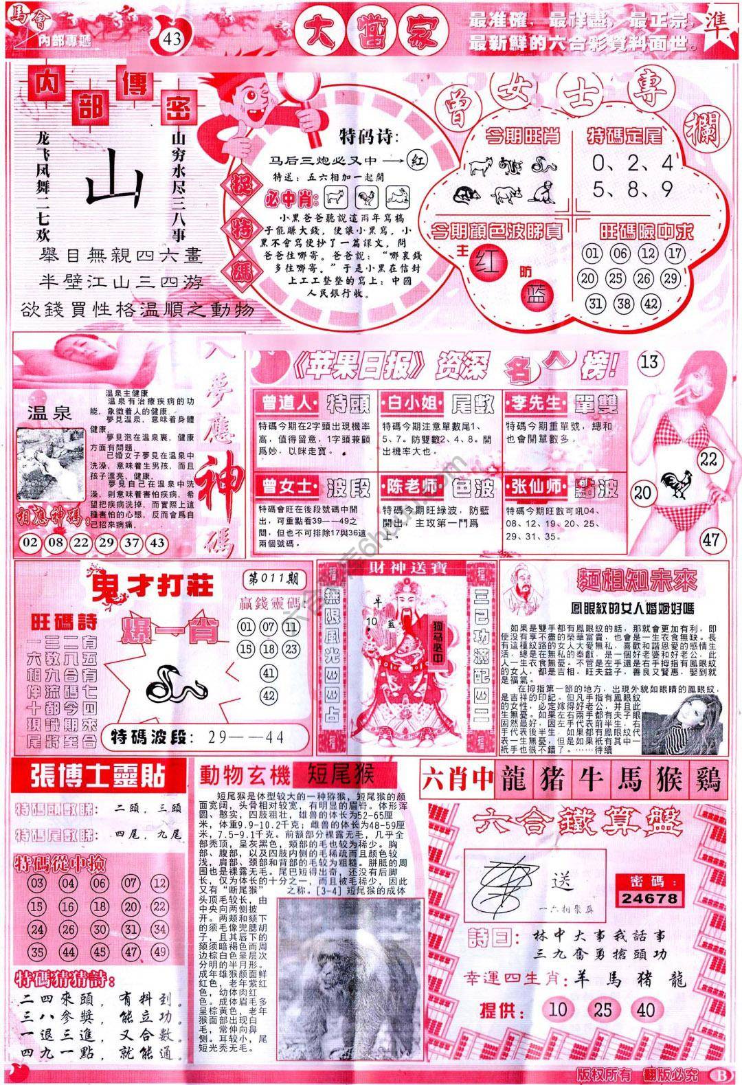 大当家