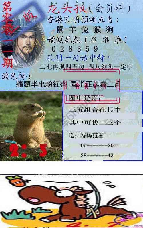 龙头报