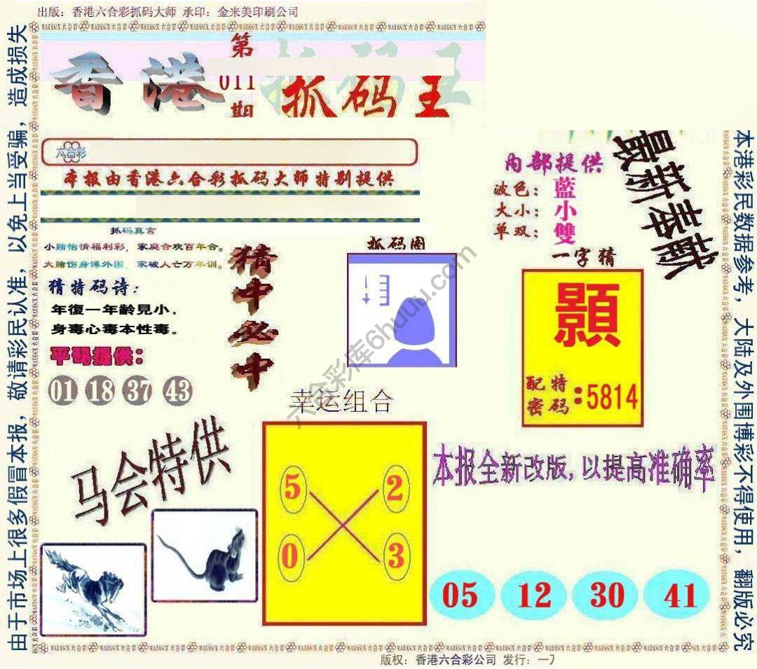 新抓码王