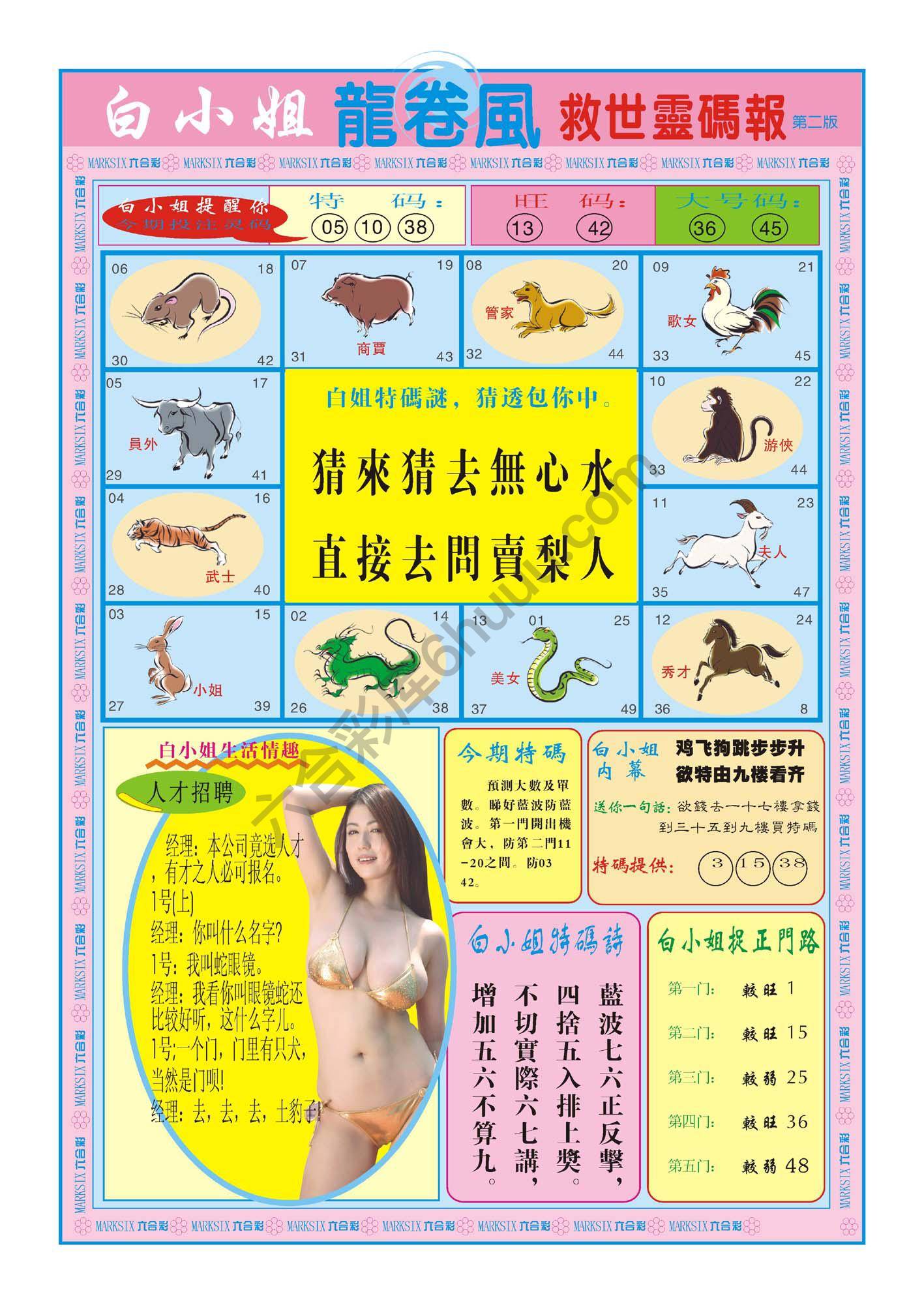 白小姐龙卷风