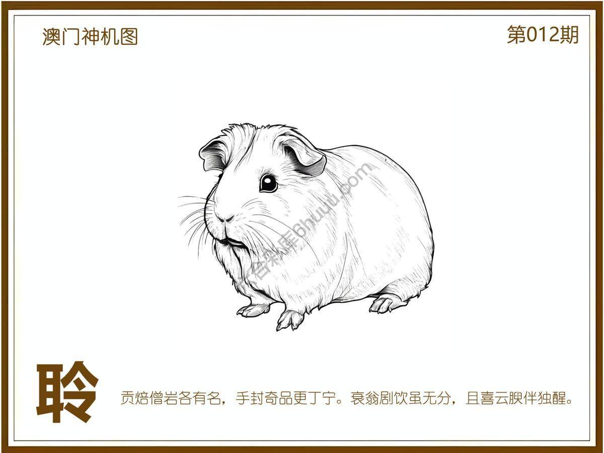 澳门神机图