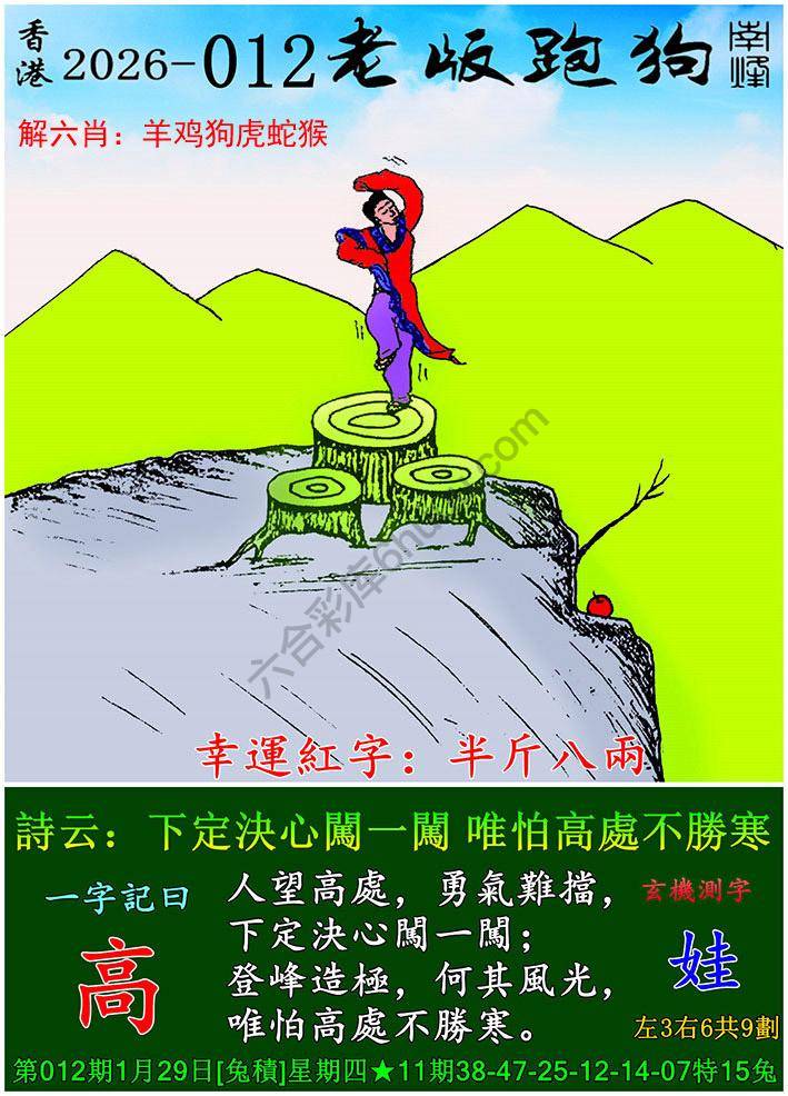 老版跑狗图
