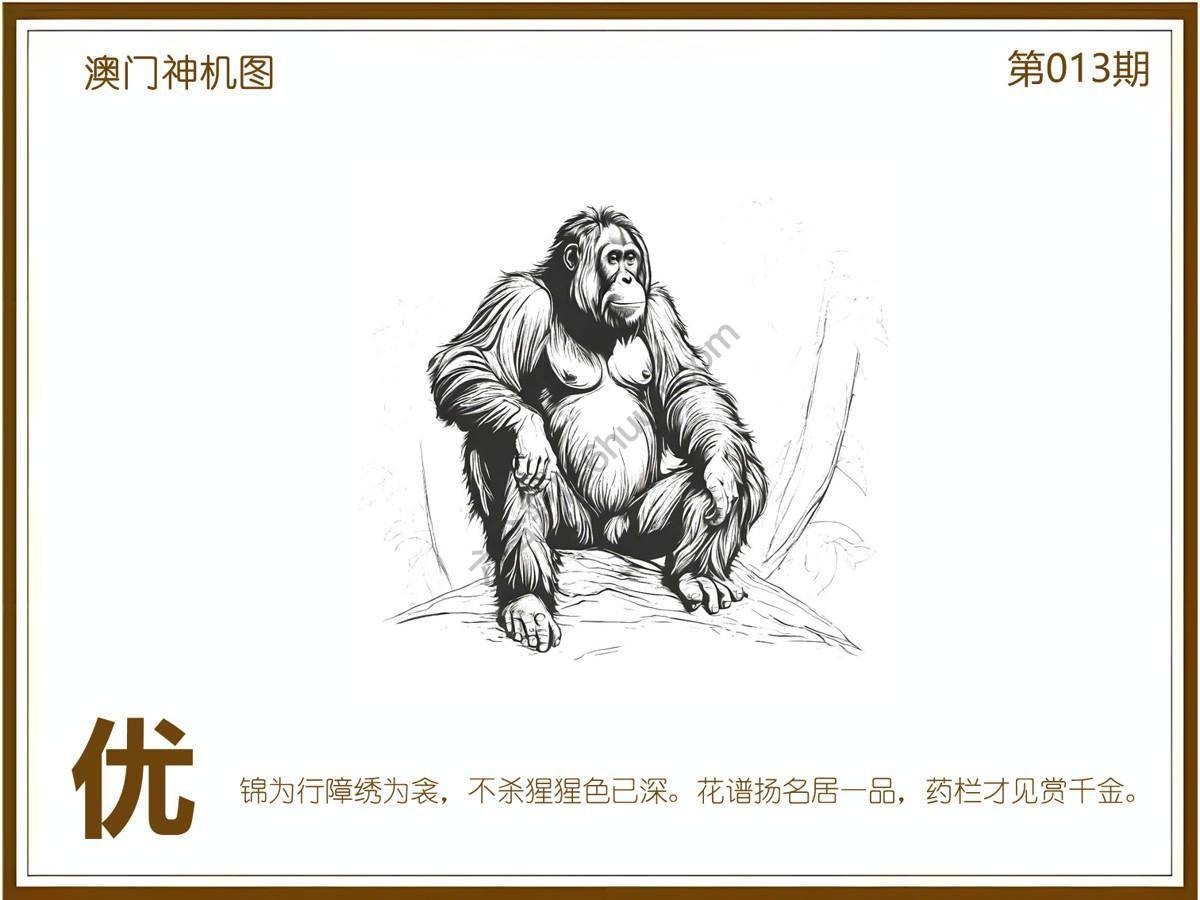 澳门神机图