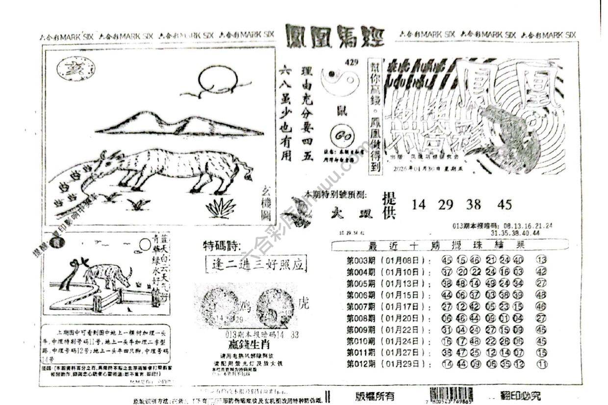 凤凰马经