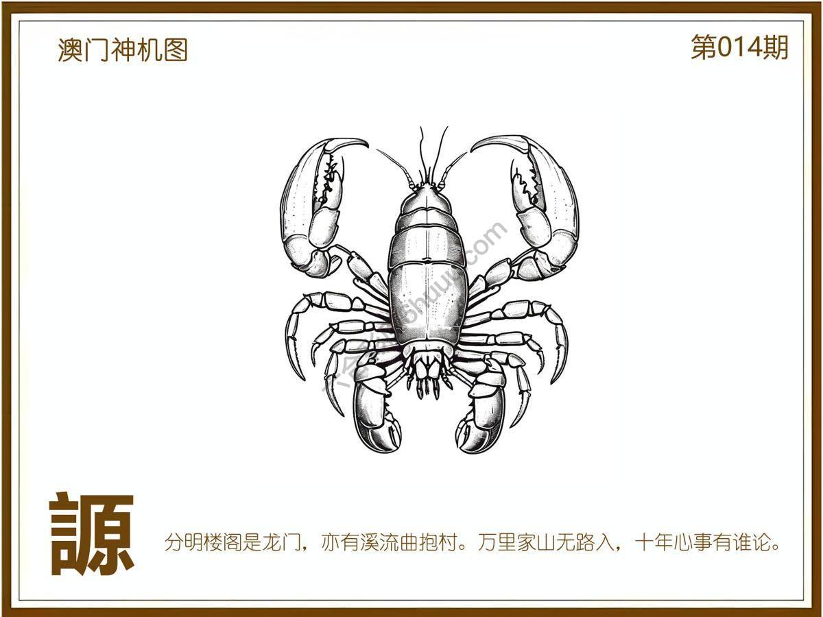 澳门神机图