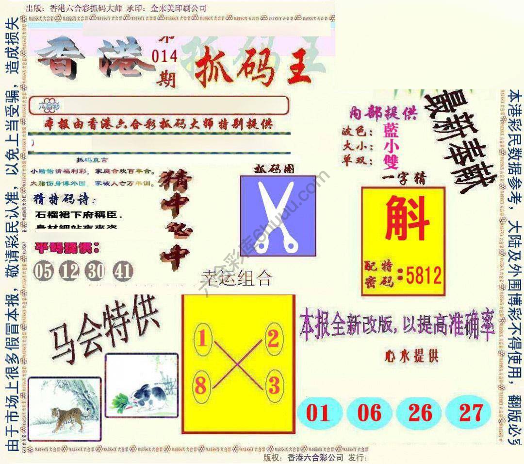 新抓码王