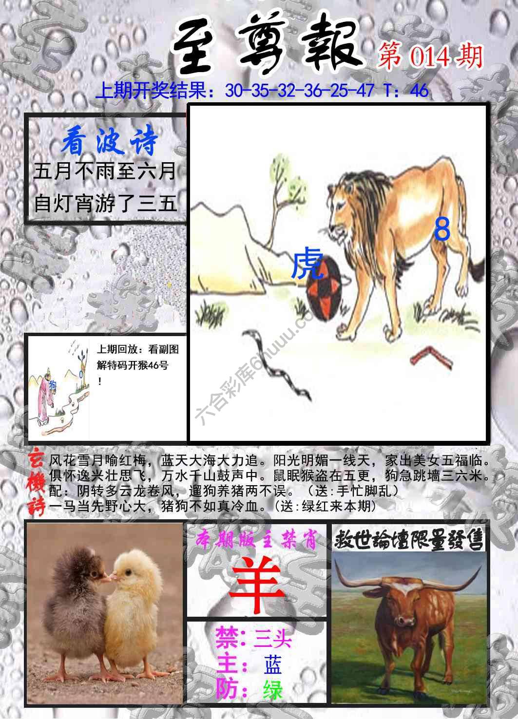 至尊报