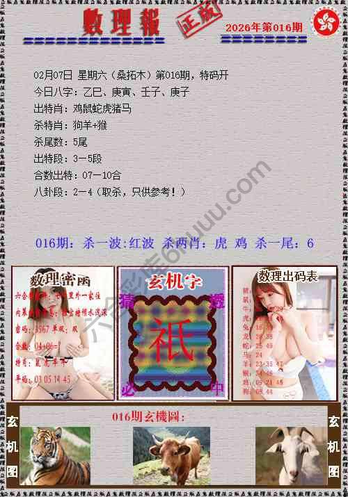 数理报