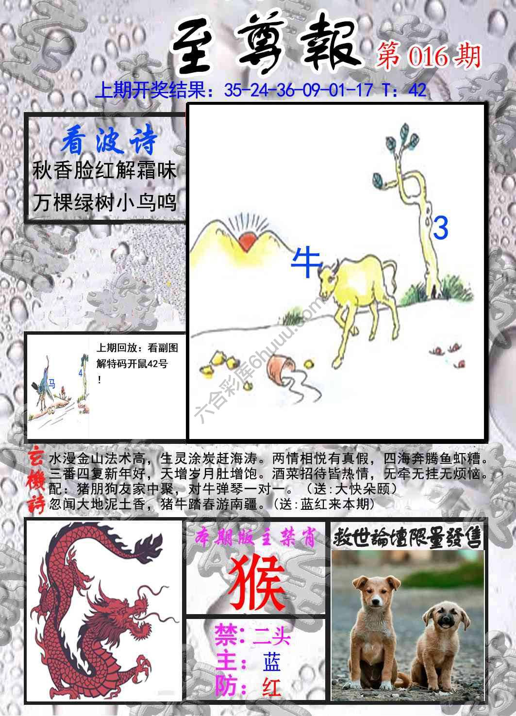 至尊报