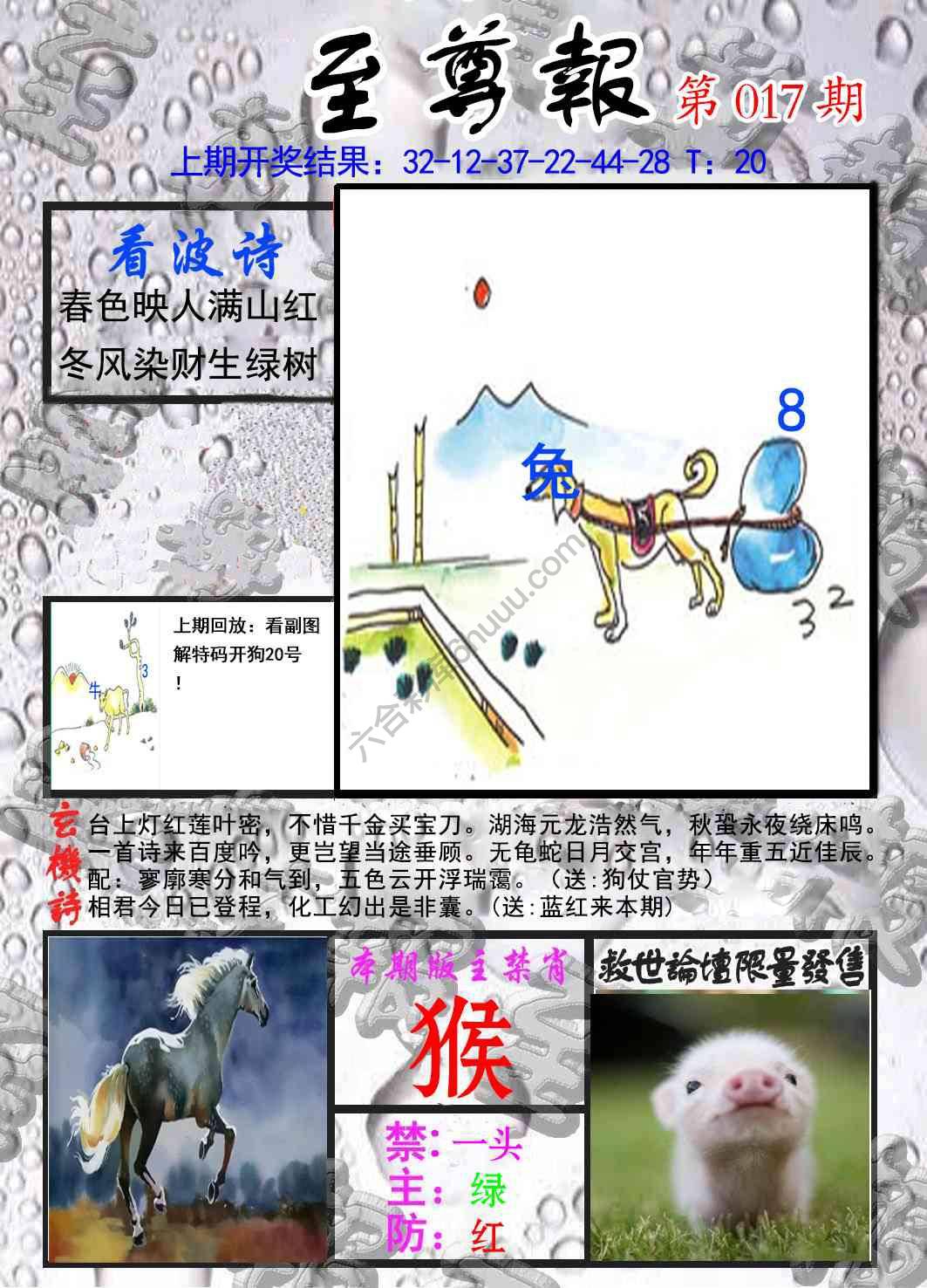 至尊报