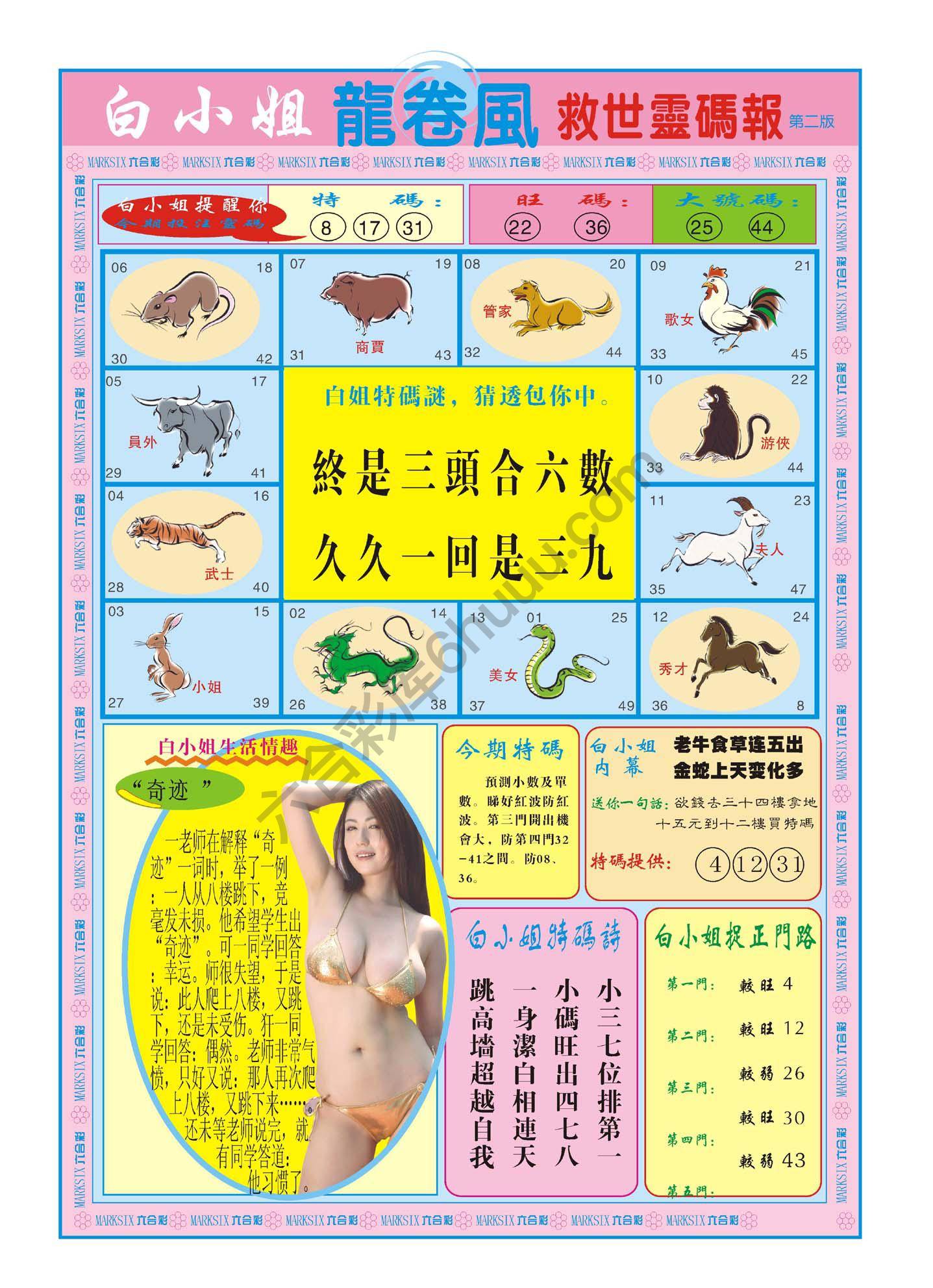 白小姐龙卷风
