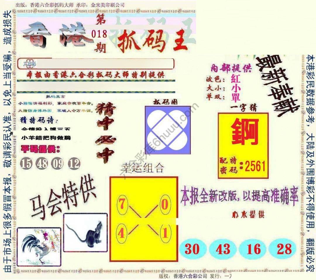 新抓码王