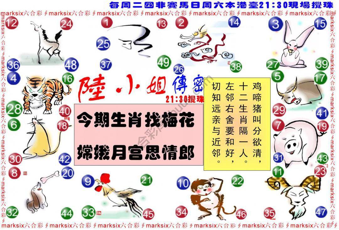 陆小姐传密