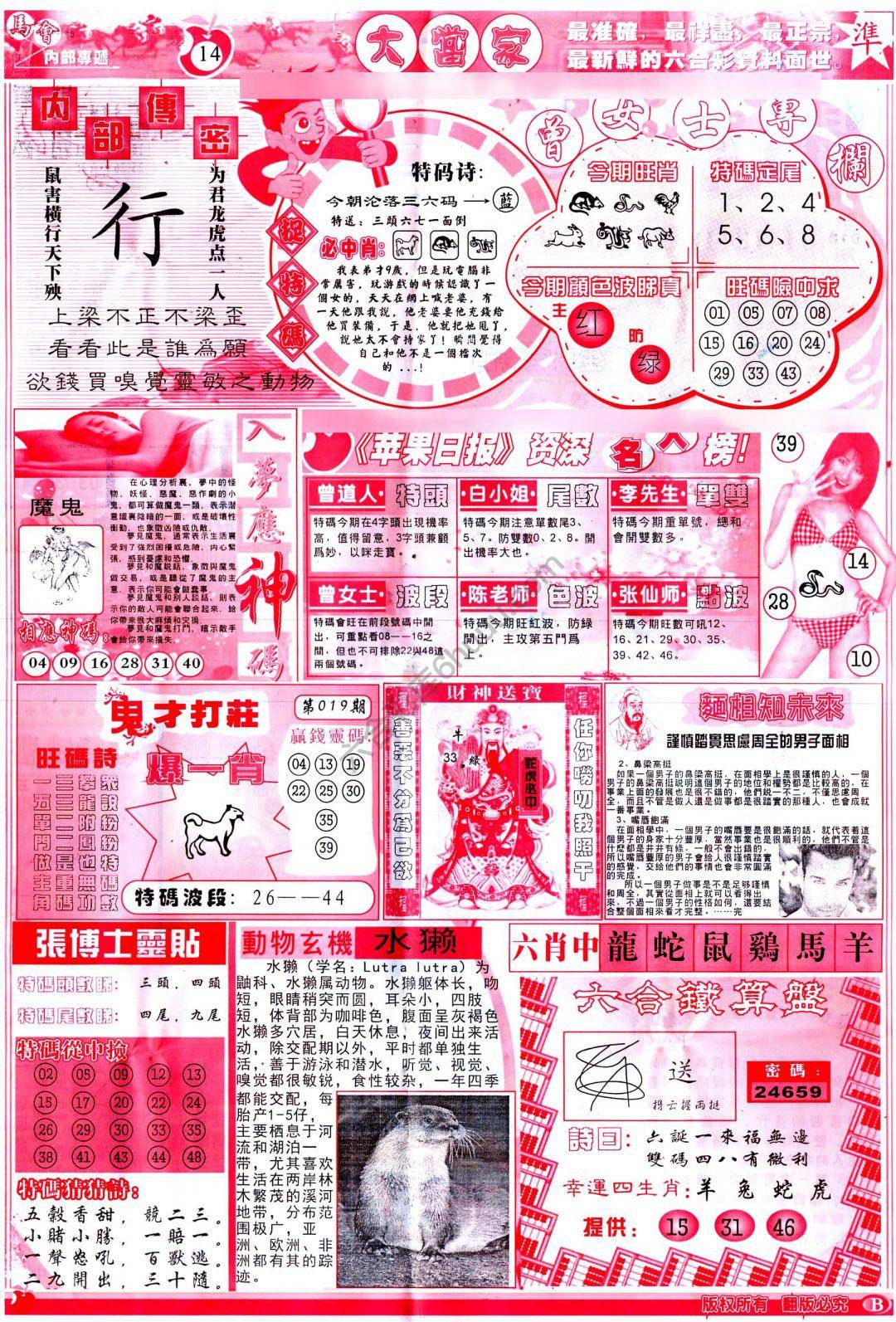 大当家