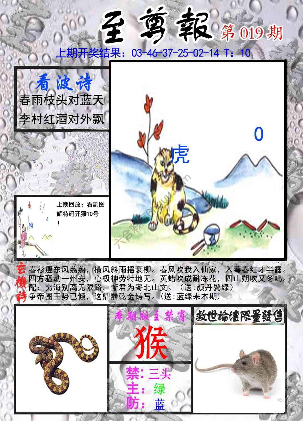 至尊报
