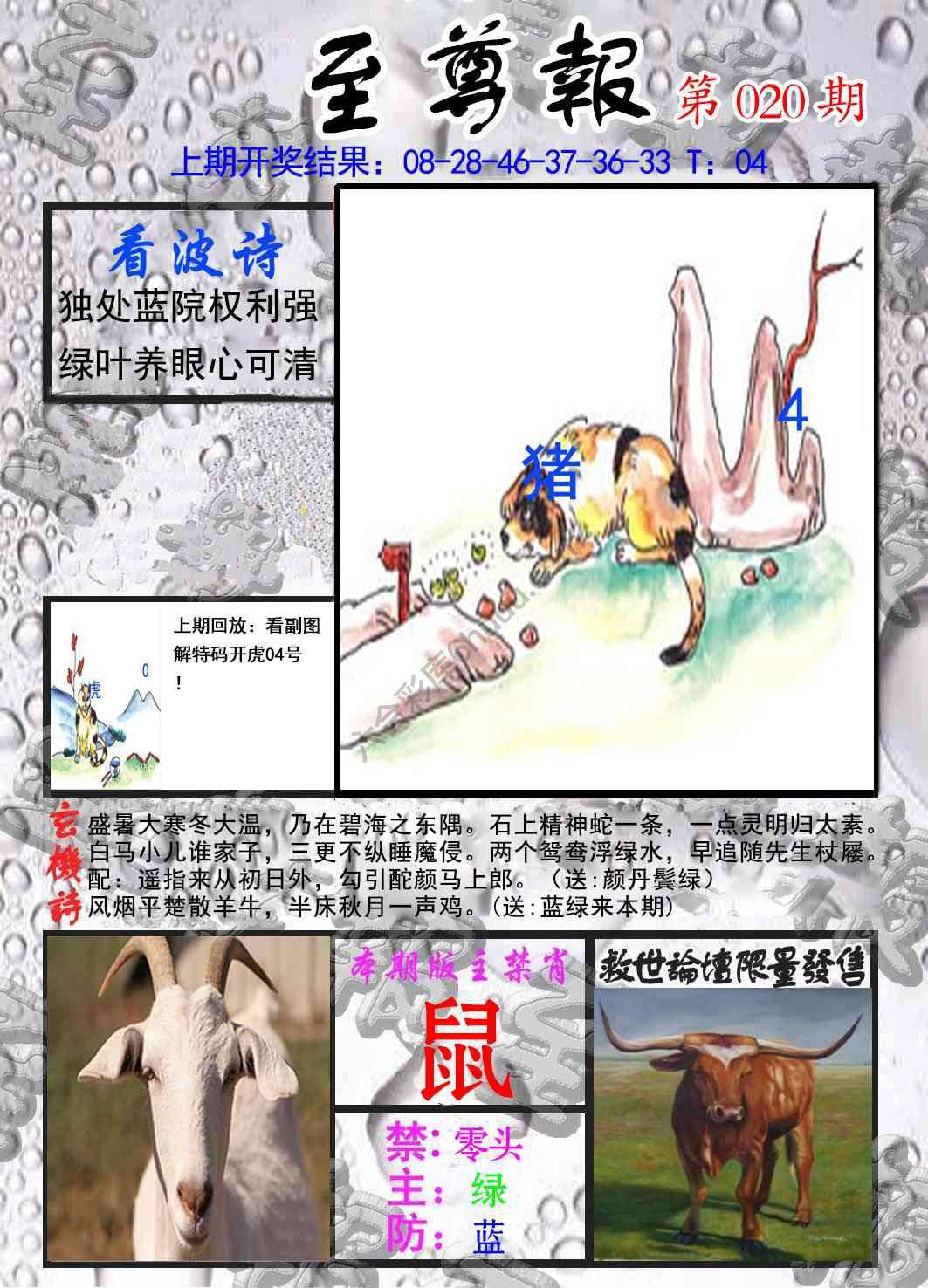 至尊报