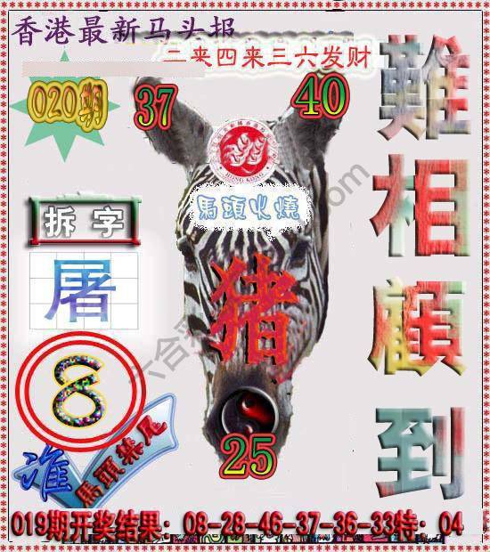 香港马头报