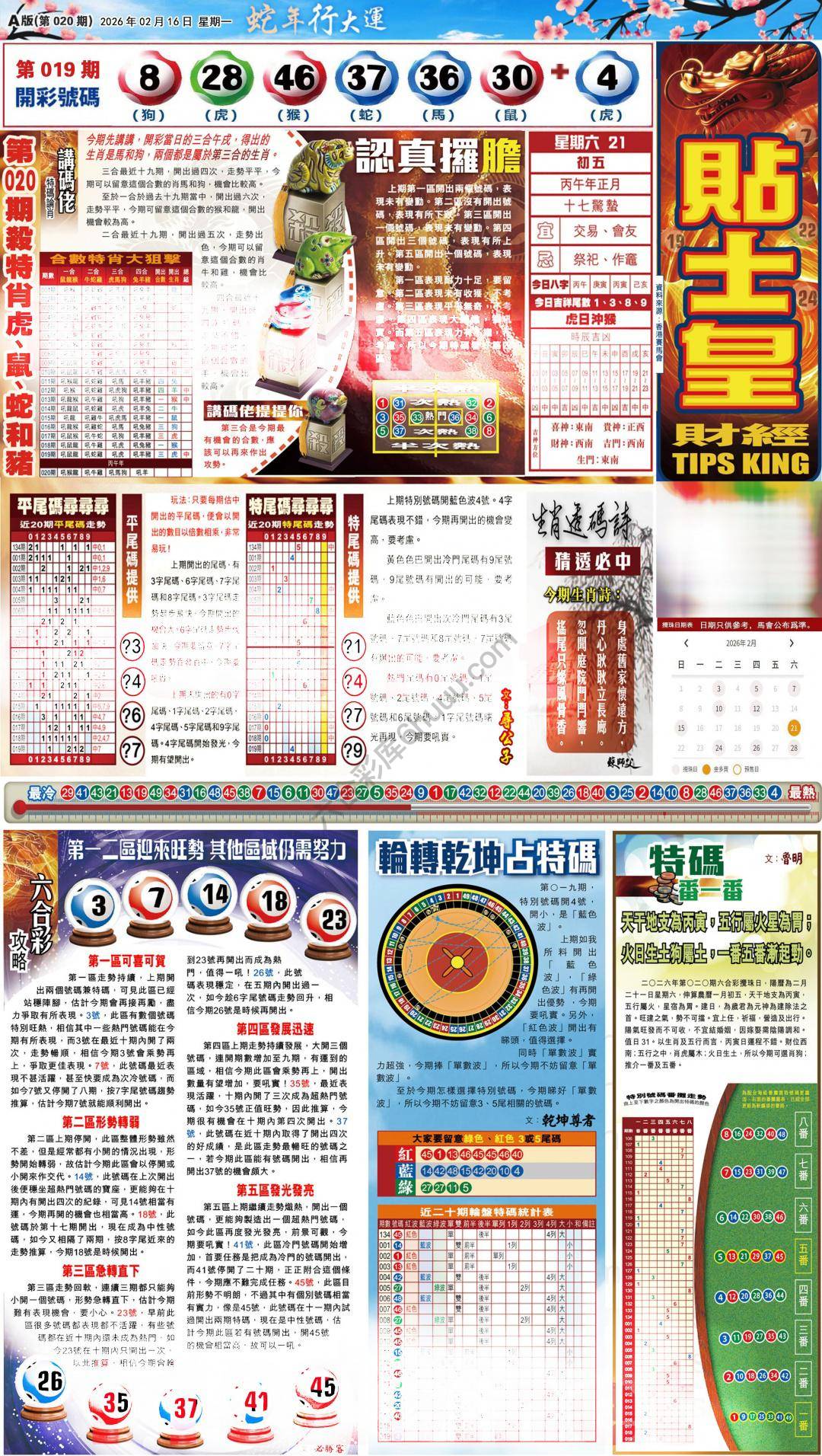 大版贴士皇