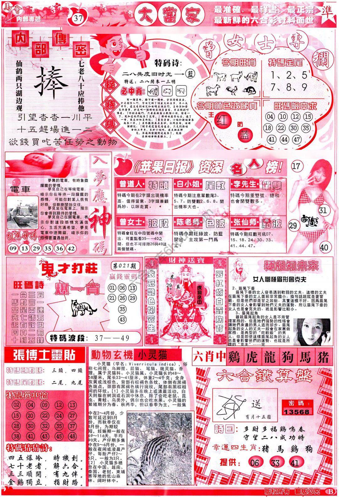 大当家