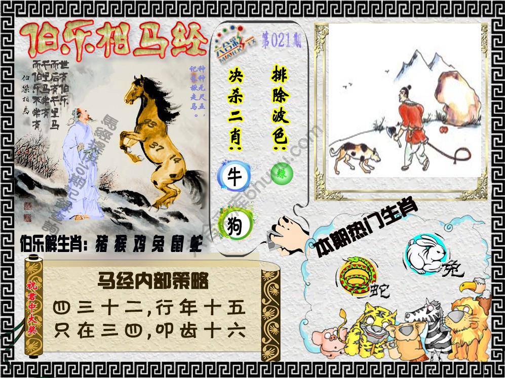 伯乐相马经
