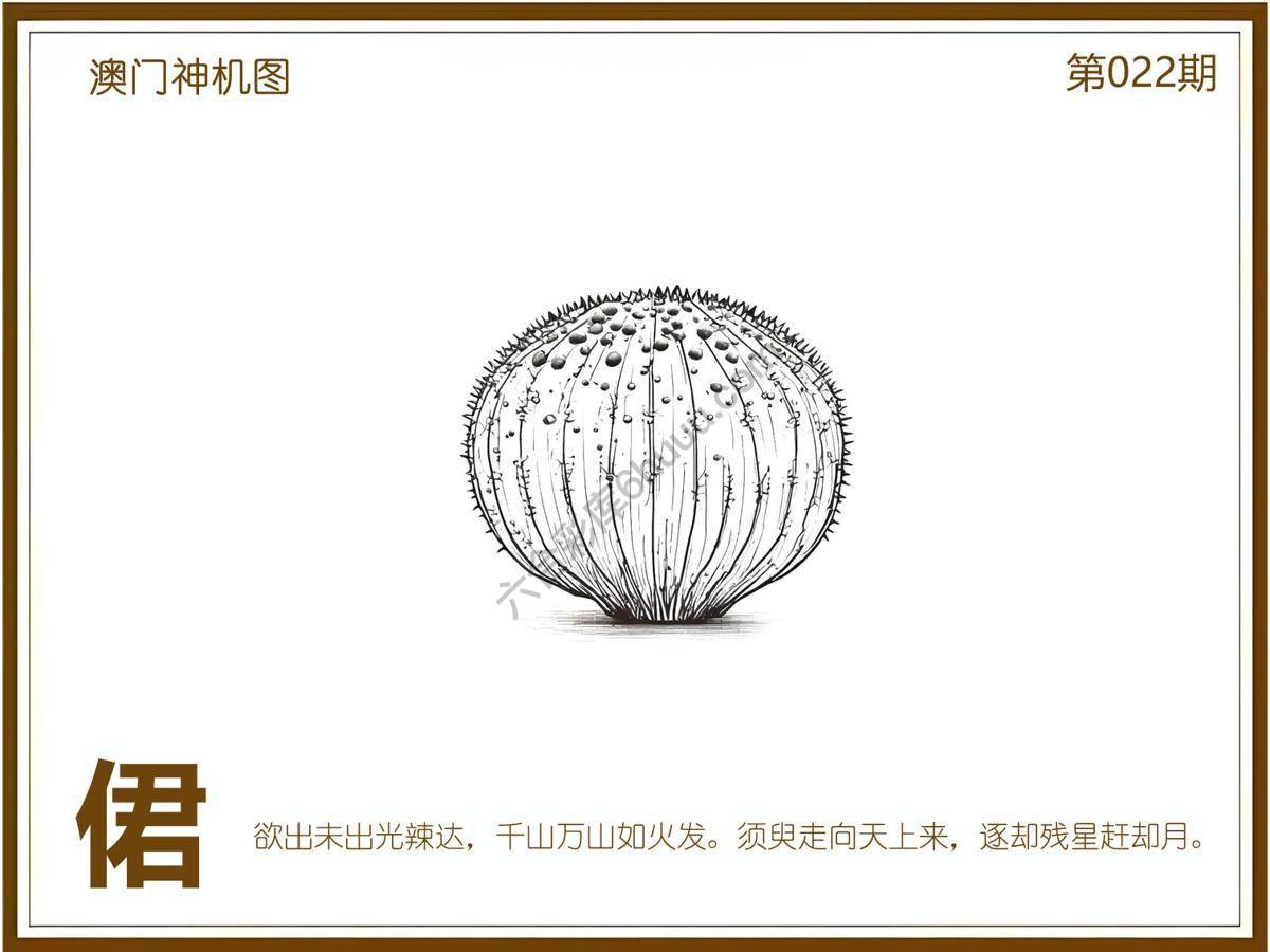 澳门神机图