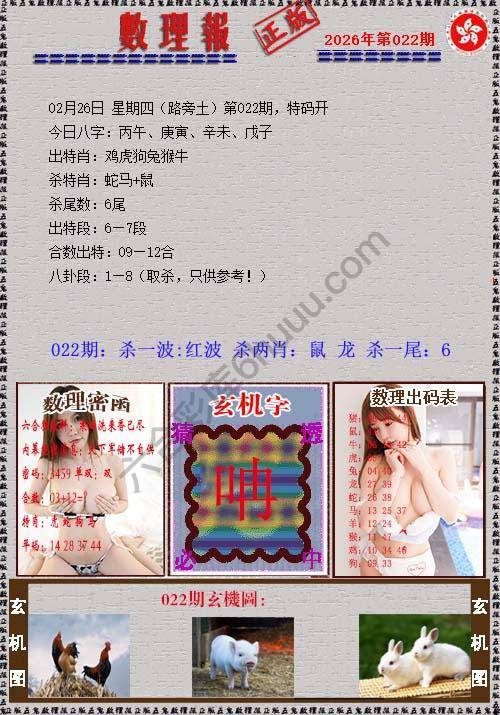 数理报