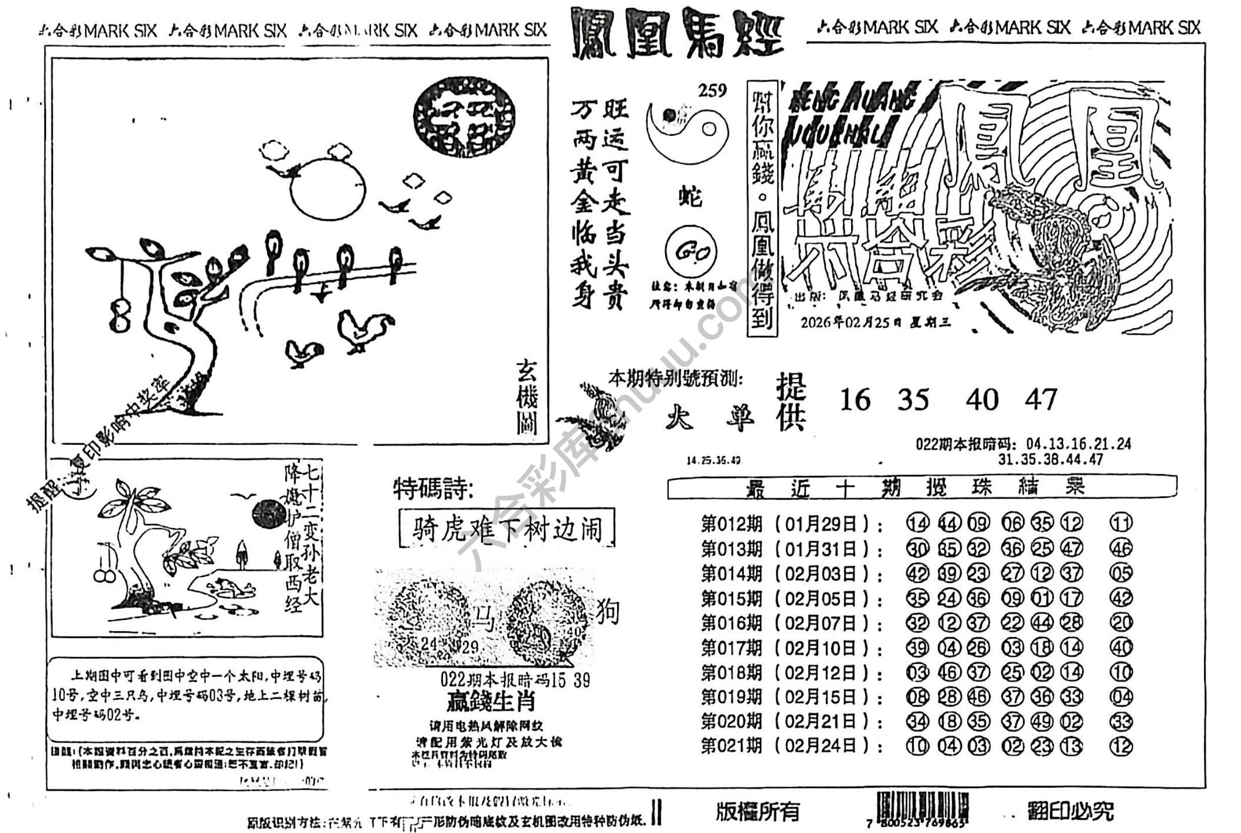 凤凰马经