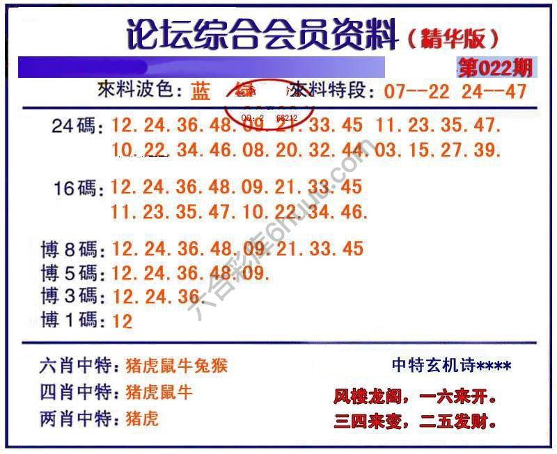 综合会员资料