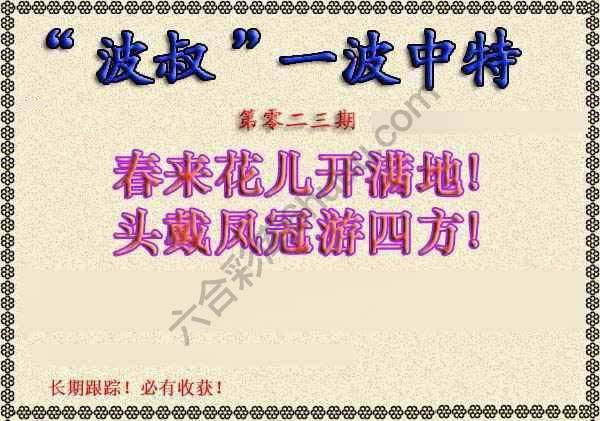 波叔一波中特
