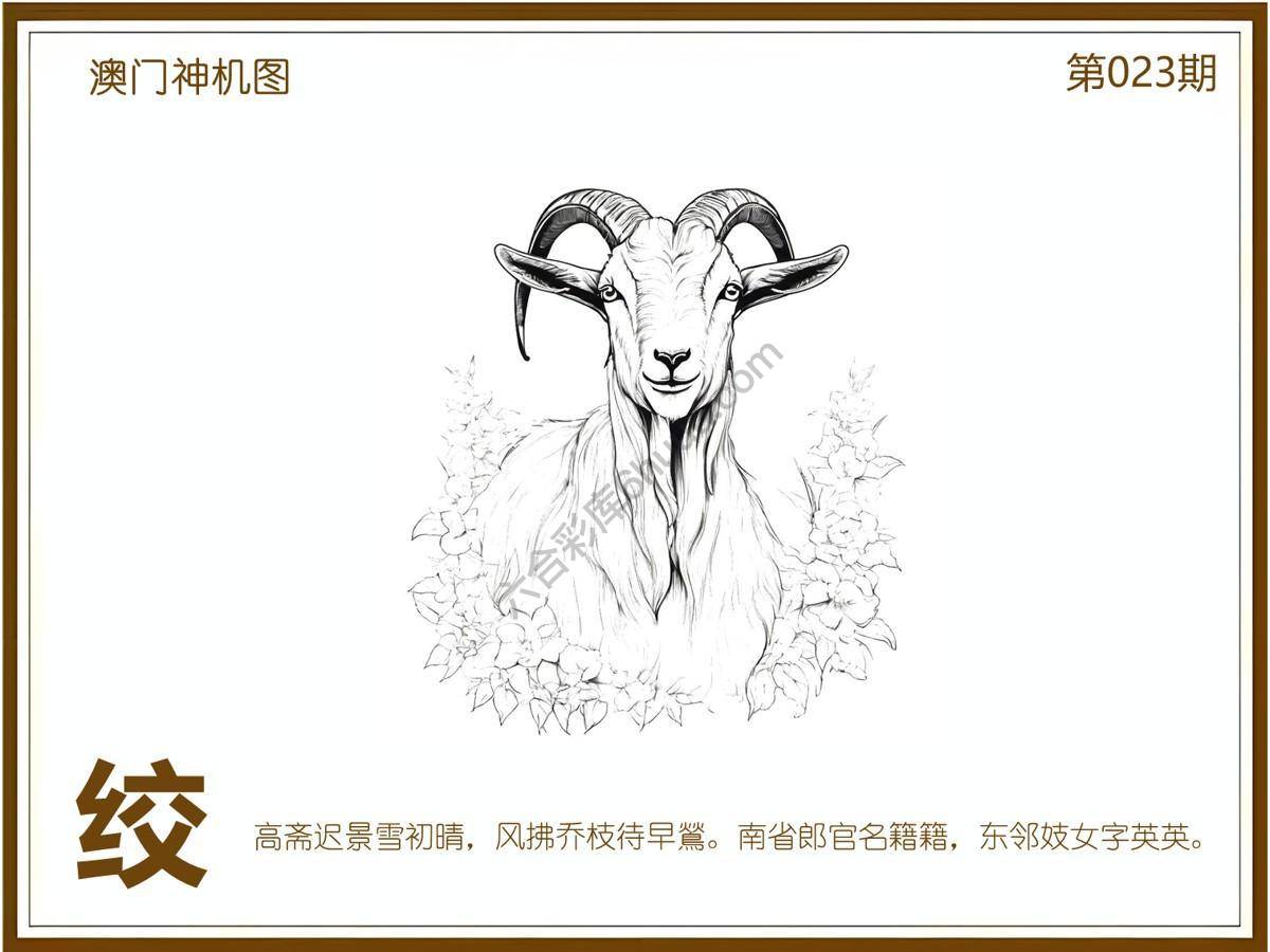 澳门神机图