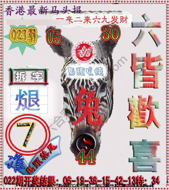 香港马头报
