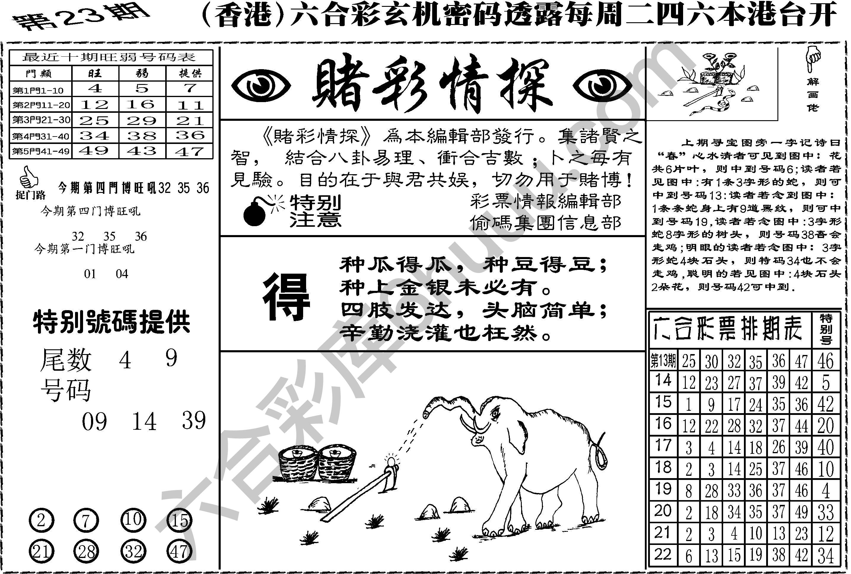 赌彩情探