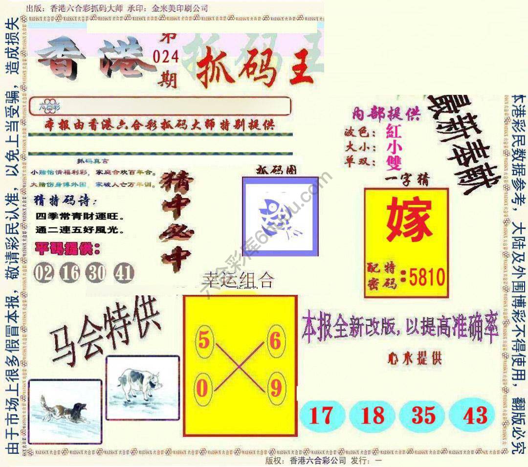 新抓码王