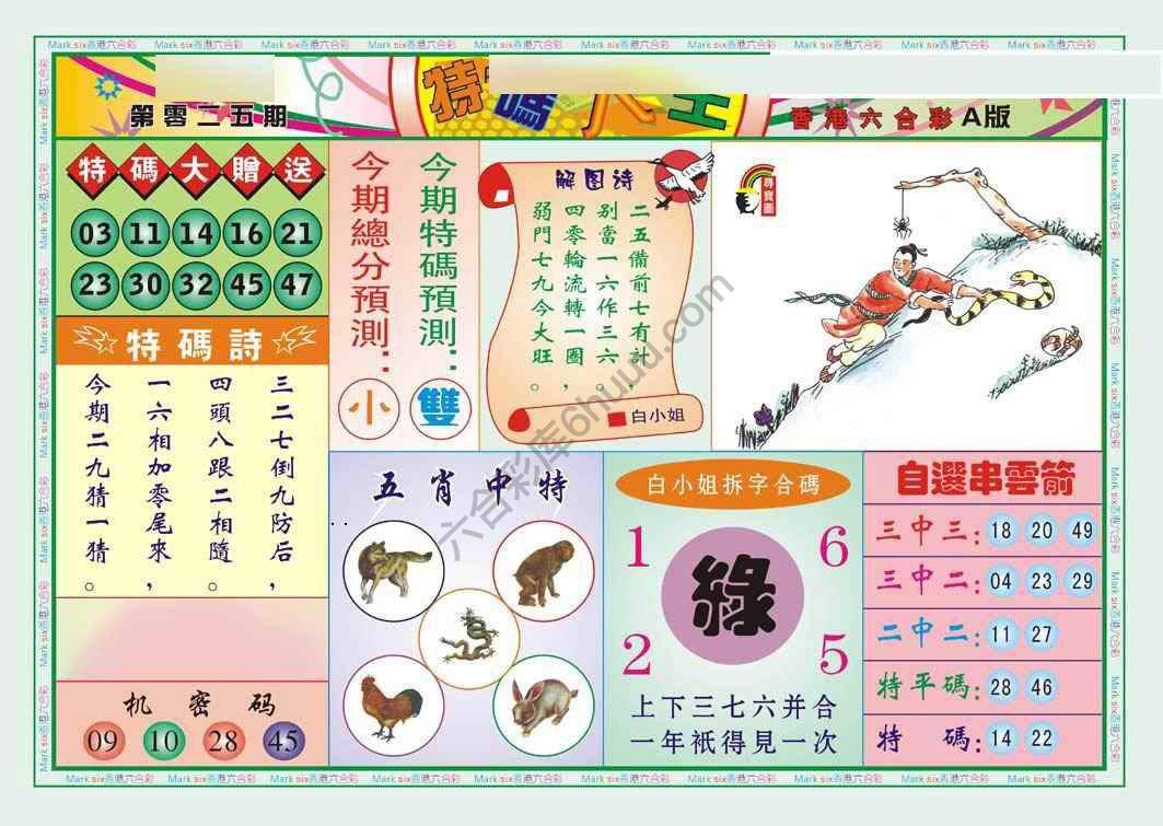 特码大王