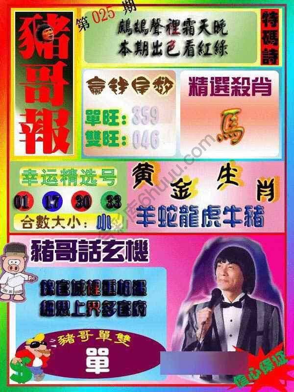 猪哥报