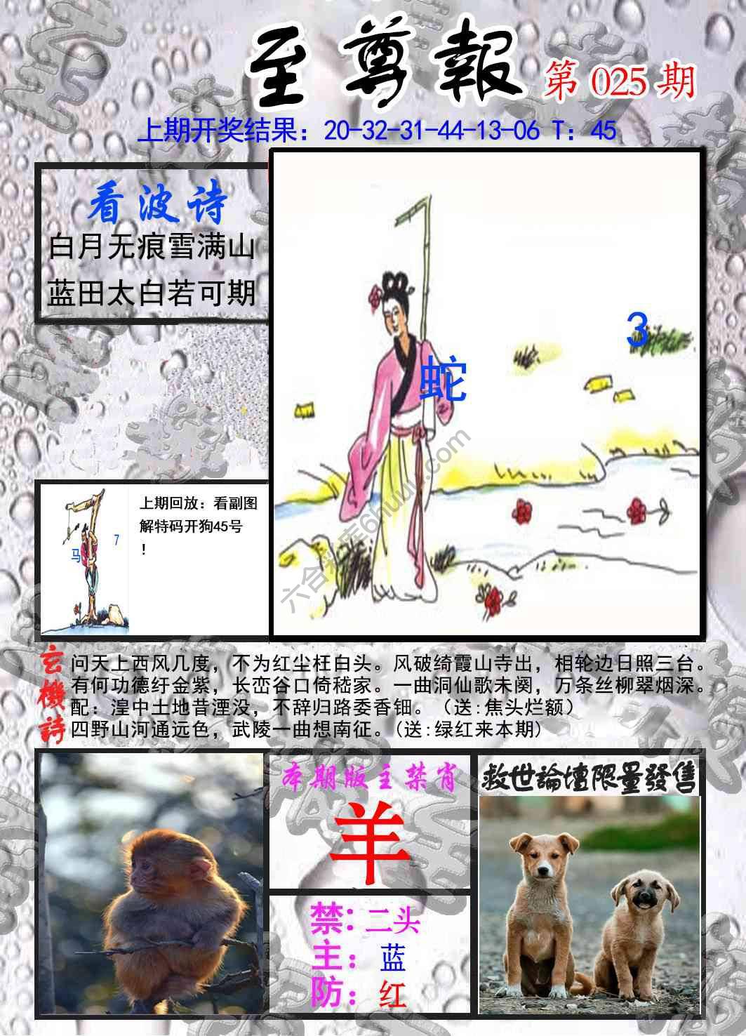 至尊报