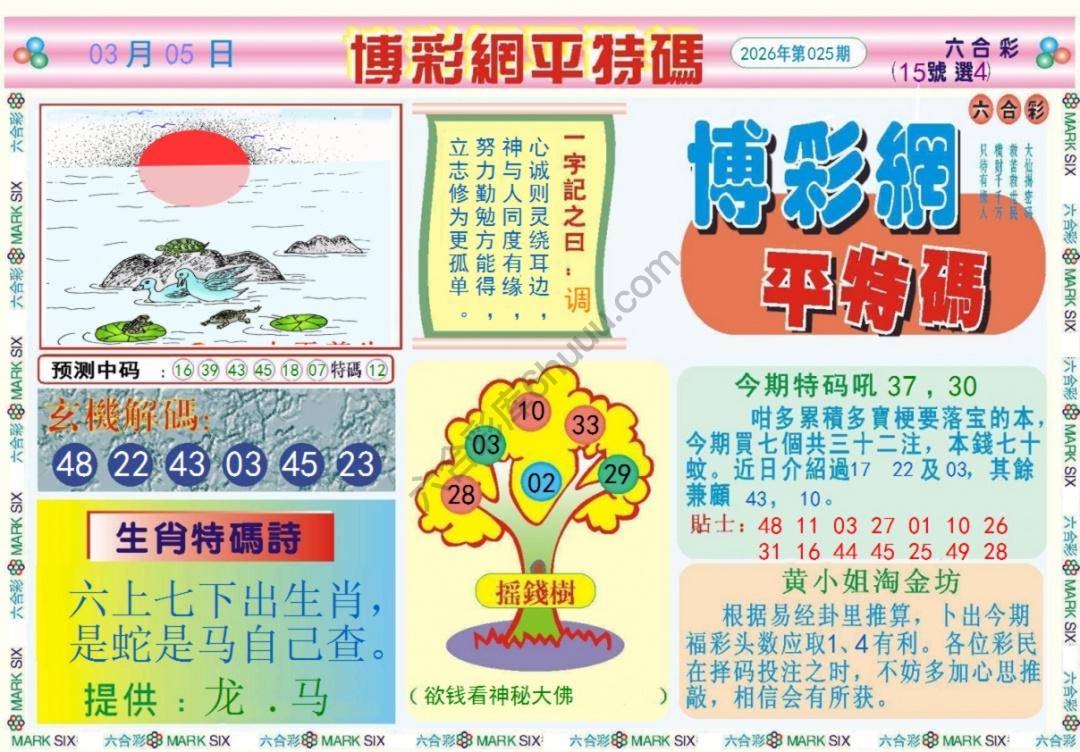 博彩网平特码