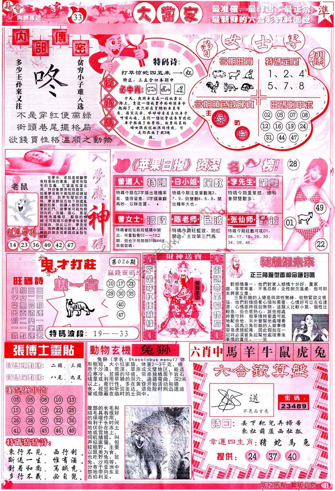 大当家