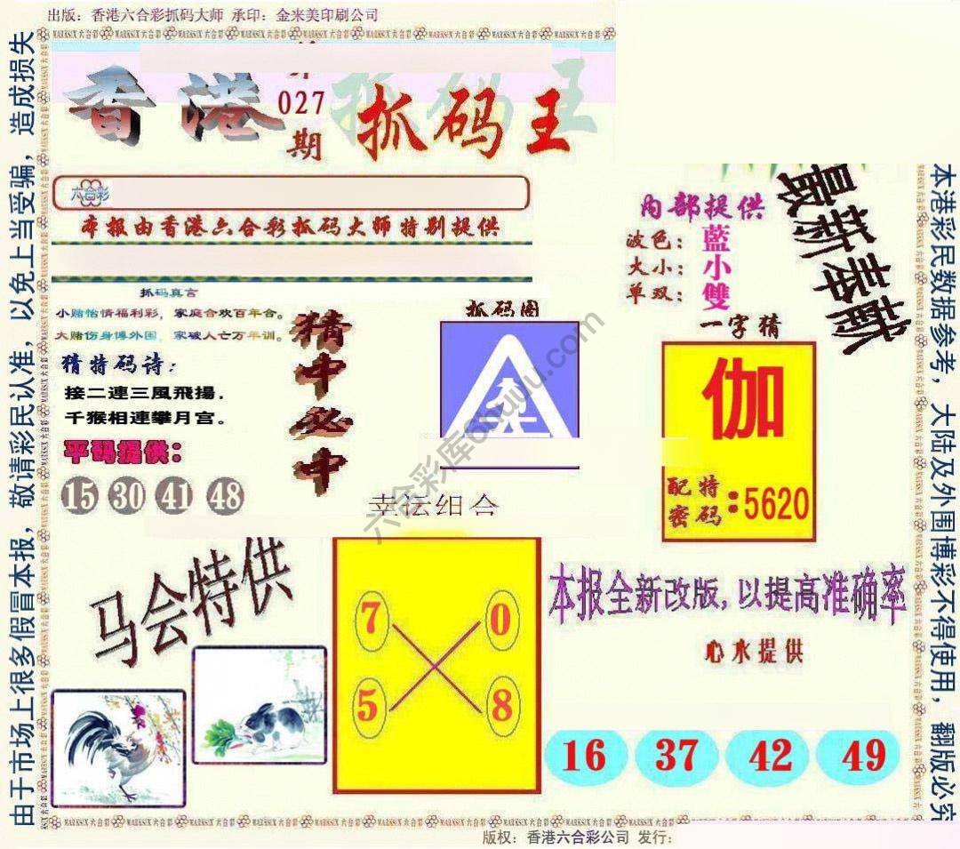 新抓码王