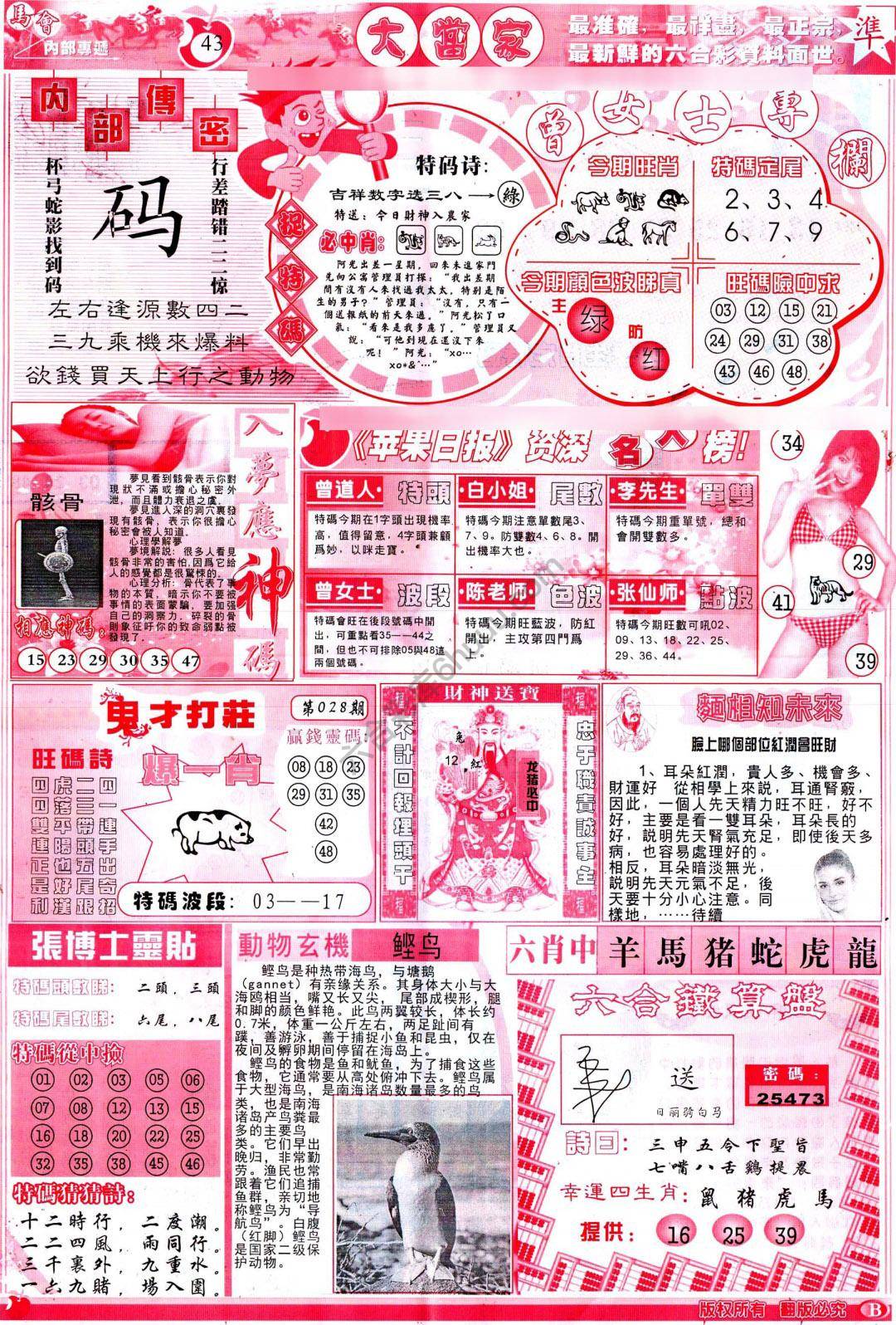 大当家