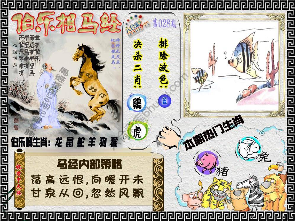 伯乐相马经