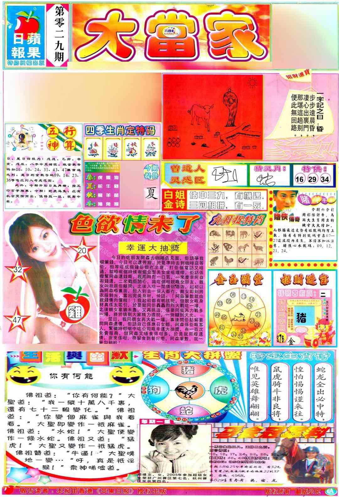 大当家
