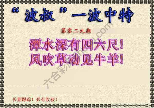 波叔一波中特