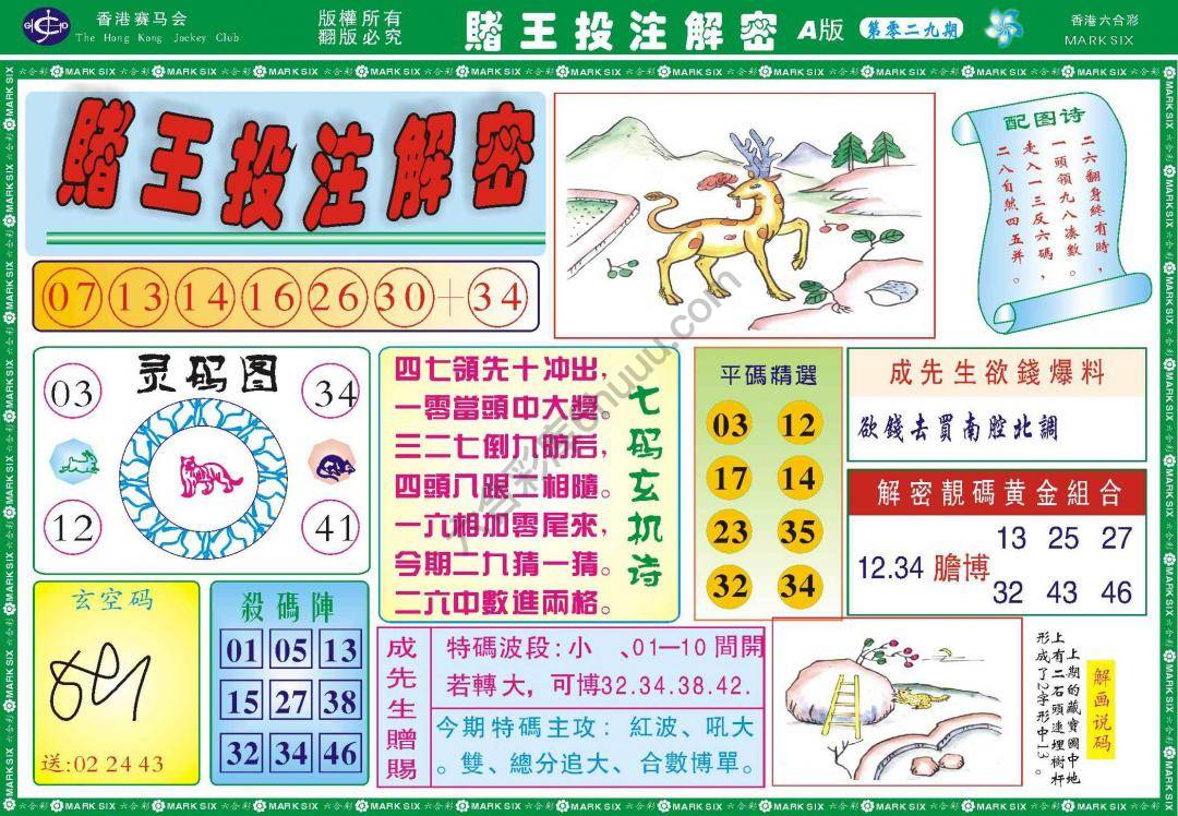 赌王投注解密