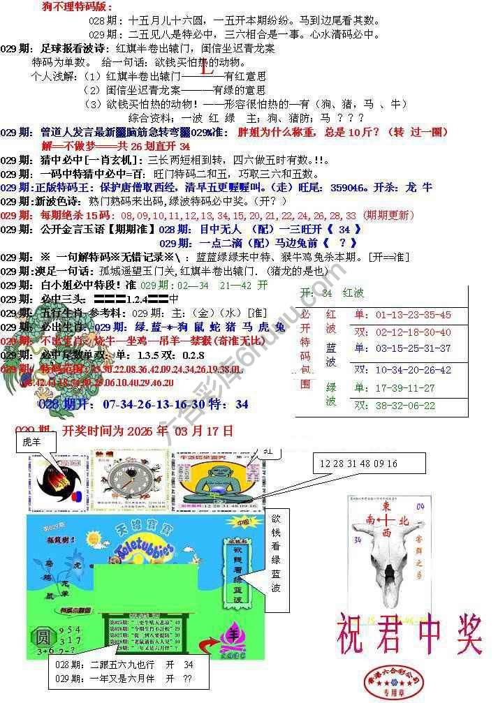 青龙五鬼报