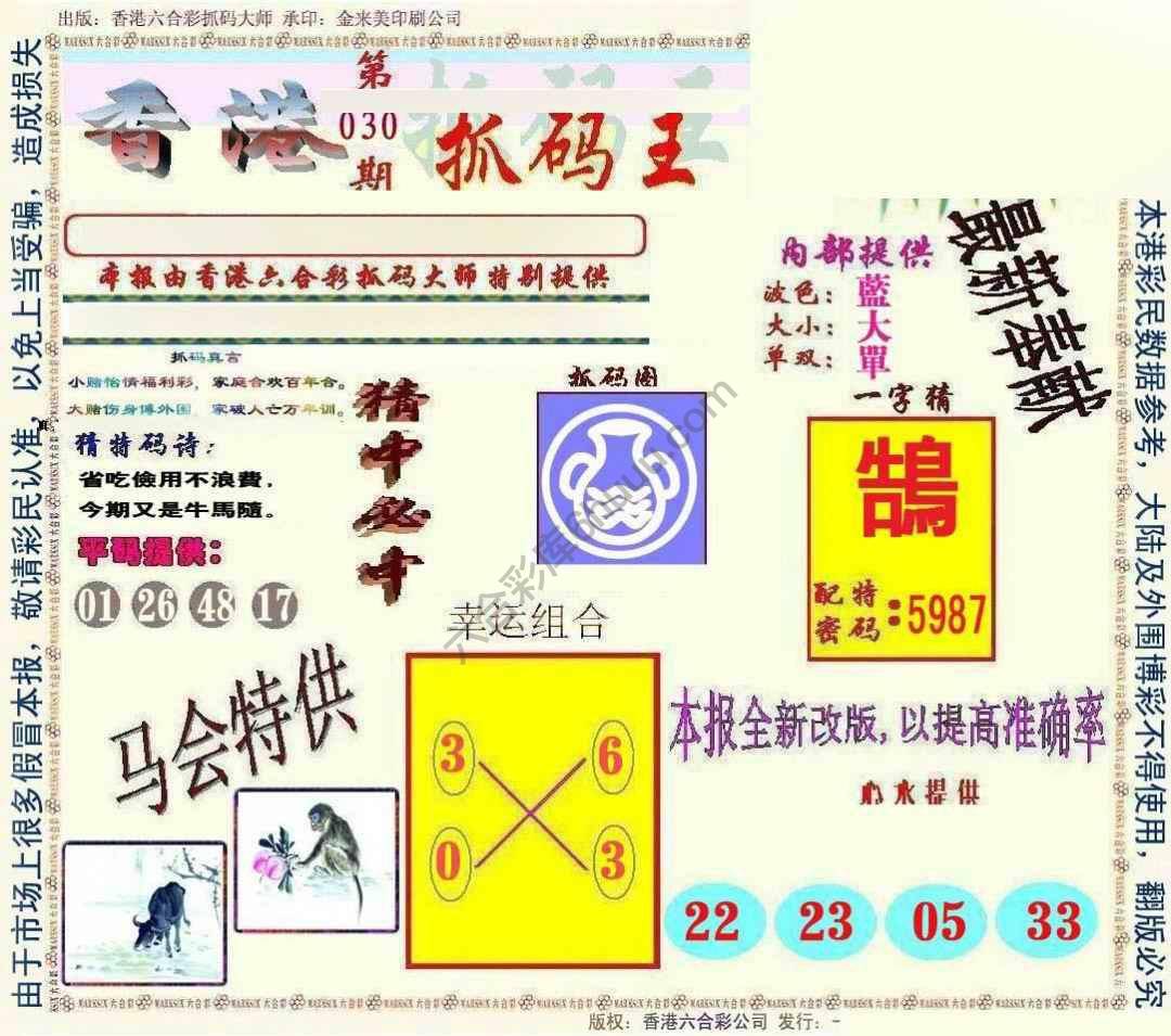 新抓码王